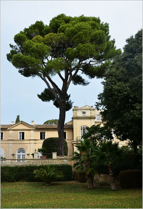 Chateau La Nerthe